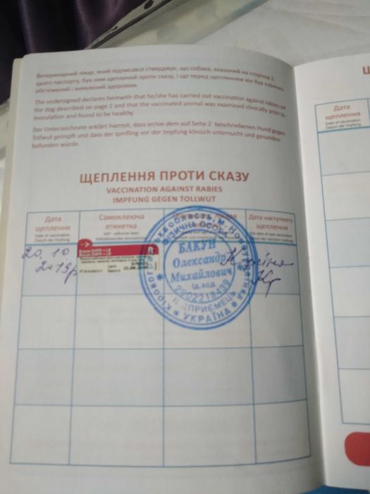 Случька аляского маламута