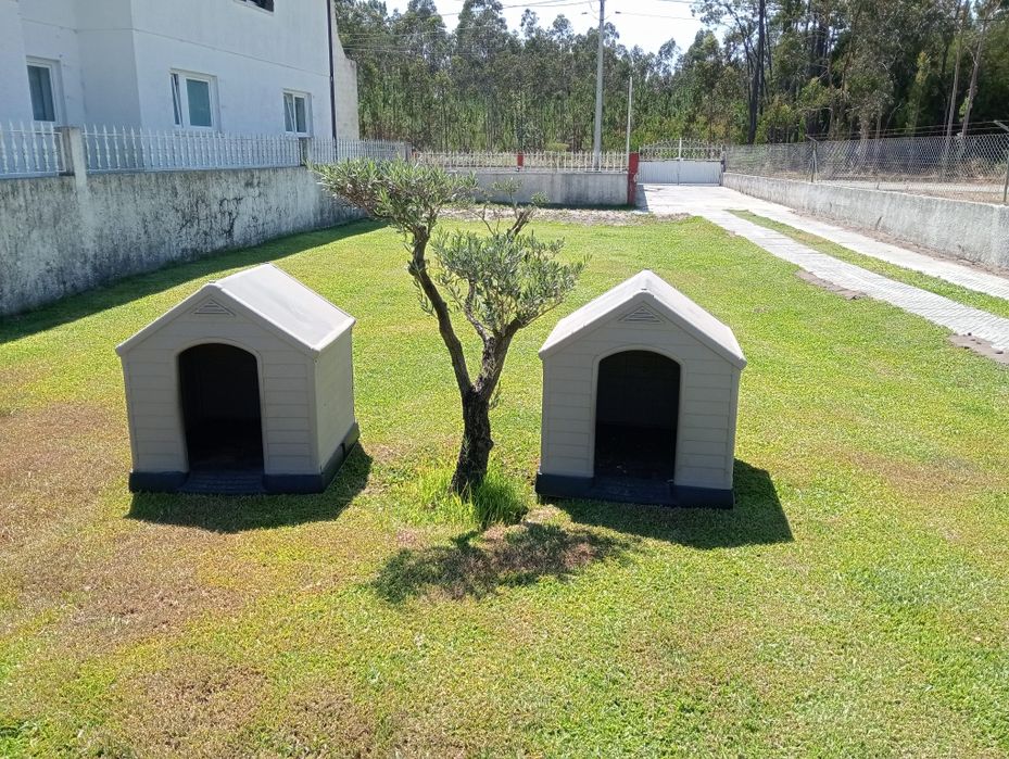 Vendo casota de cão