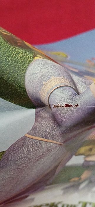 Poster Pirata das Caraíbas/Shrek The Third