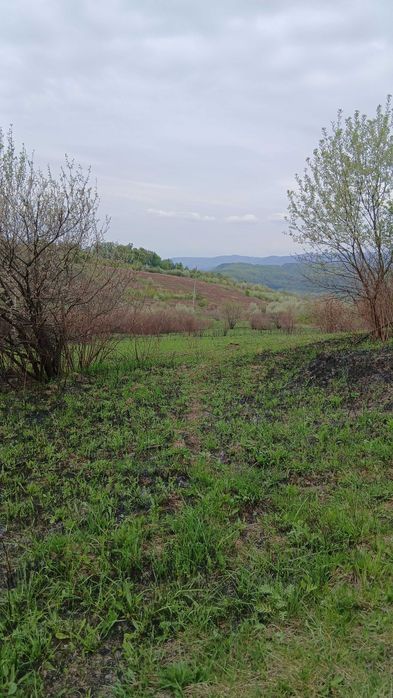 Продається земельна ділянка!