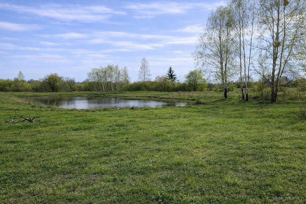 Вишгородський р-н, 10 га, під базу відпочинку або глемпінг.