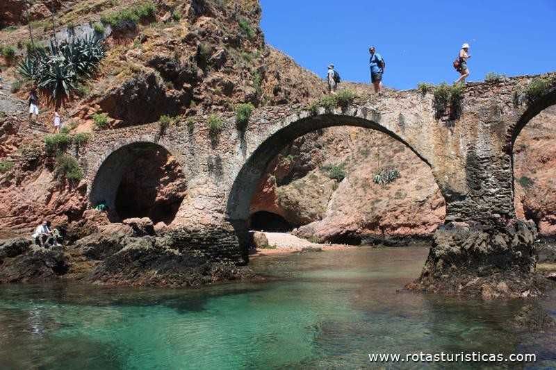 Arrenda-se apartamento T1 para férias-  Setembro