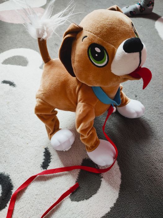 Piesek boogie jak nowy