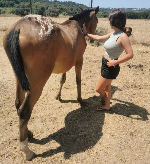 Appaloosa Urano [raro e meigo]