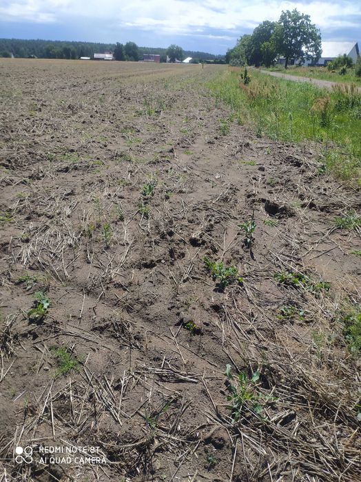 Sprzedam działki budowlane Dębno - Klepin 15 arów. - Więcej