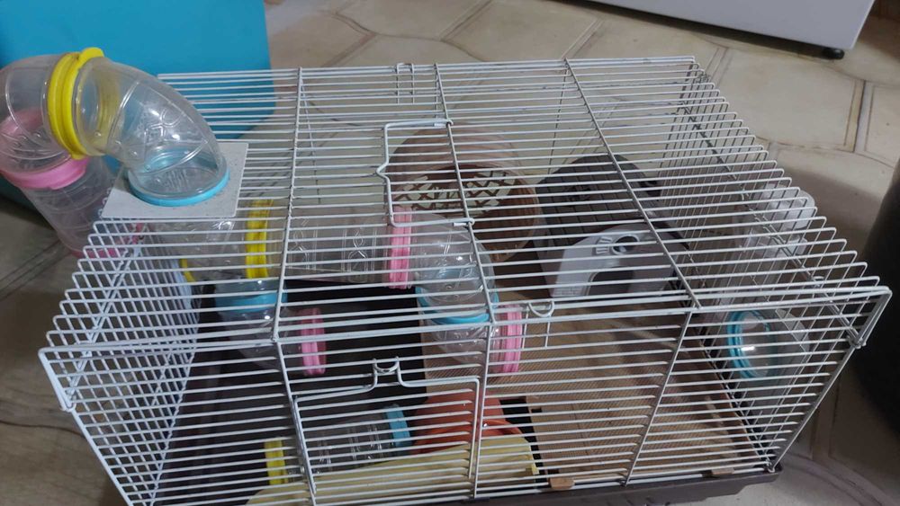 Casota nova para interessados