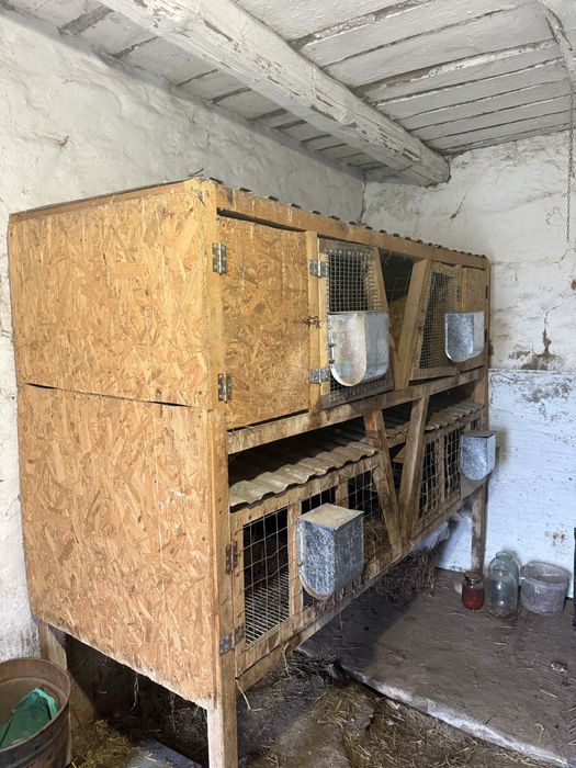 Клітка для кролів