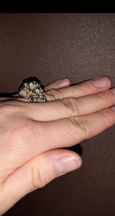 Regulowany pierścionek z jaspisem dalmatyńskim