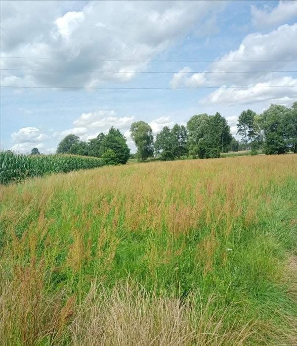 Działka budowlana