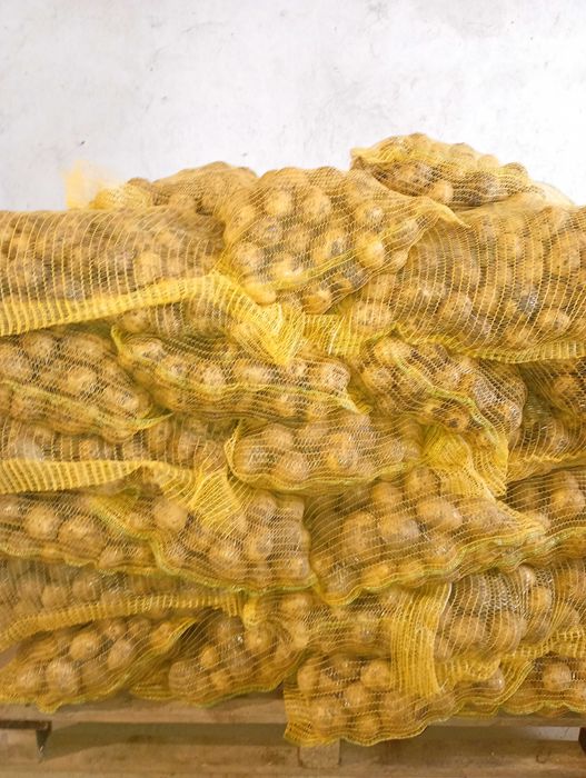 Ziemniaki hurt detal ziemniaki na zimę Gala, Lilli otolia