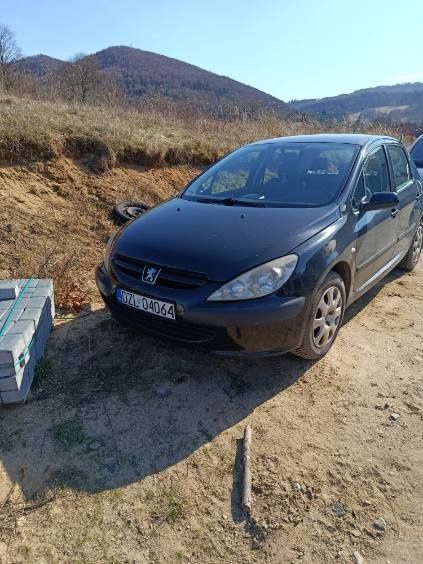 Peugeot 307 2004r 2.0 HDi