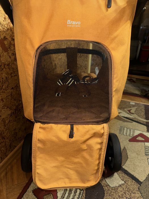 Коляска прогулянкова Carrello Bravo + подарунки