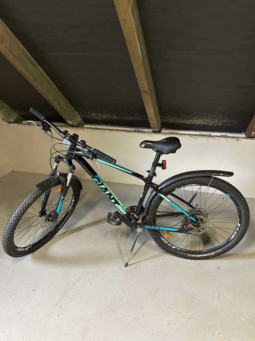 Rower Giant ATX 1 GE