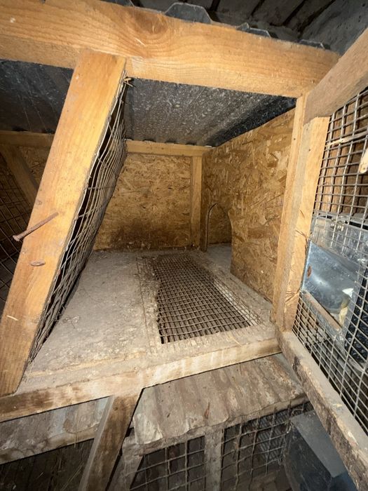 Клітка для кролів