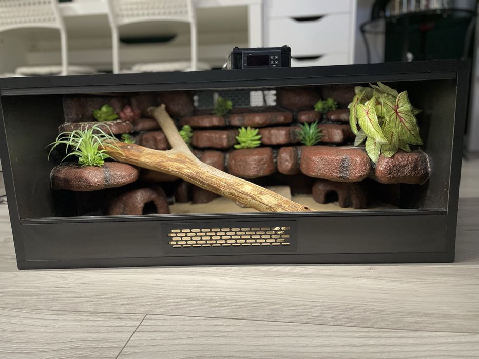 Terarium czarne z dodatkami