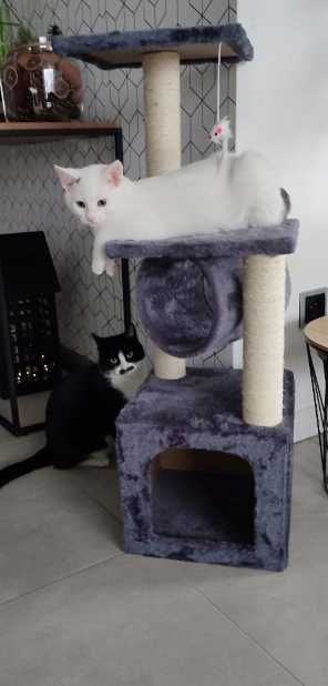 Drapak dla kota kotka domek legowisko słupek do drapania zabawka 90cm