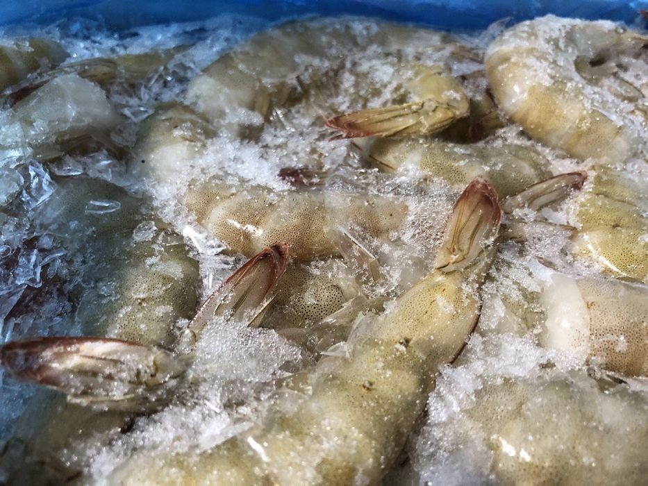 Креветка тигрова 16/20 блок 2 кг