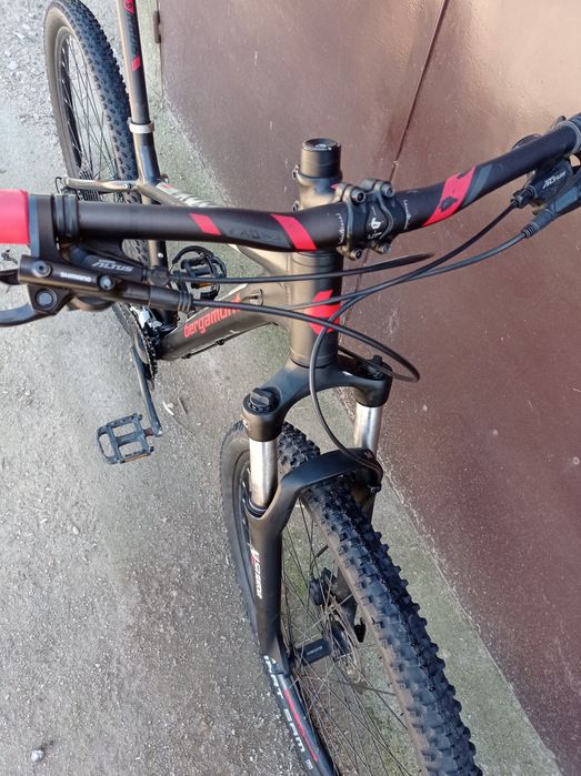 Bergamont revox 29" - M