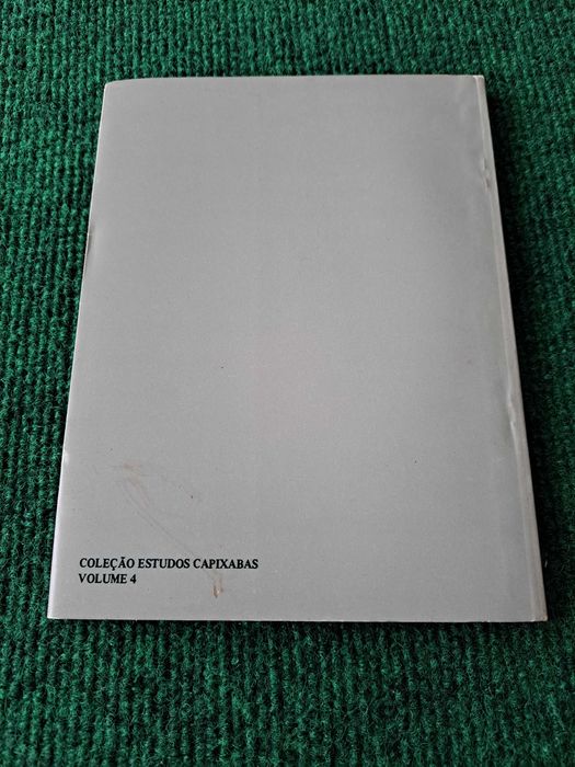 Canoeiros do Rio Santa Maria - João Ribas da Costa