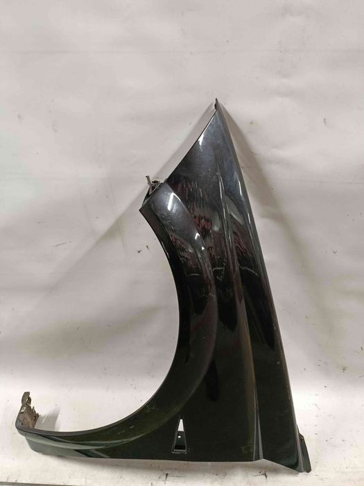 Guarda-lamas esquerdo RENAULT Megane II CC (EM0/1_)