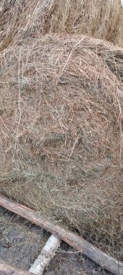 Siano baloty 120x120