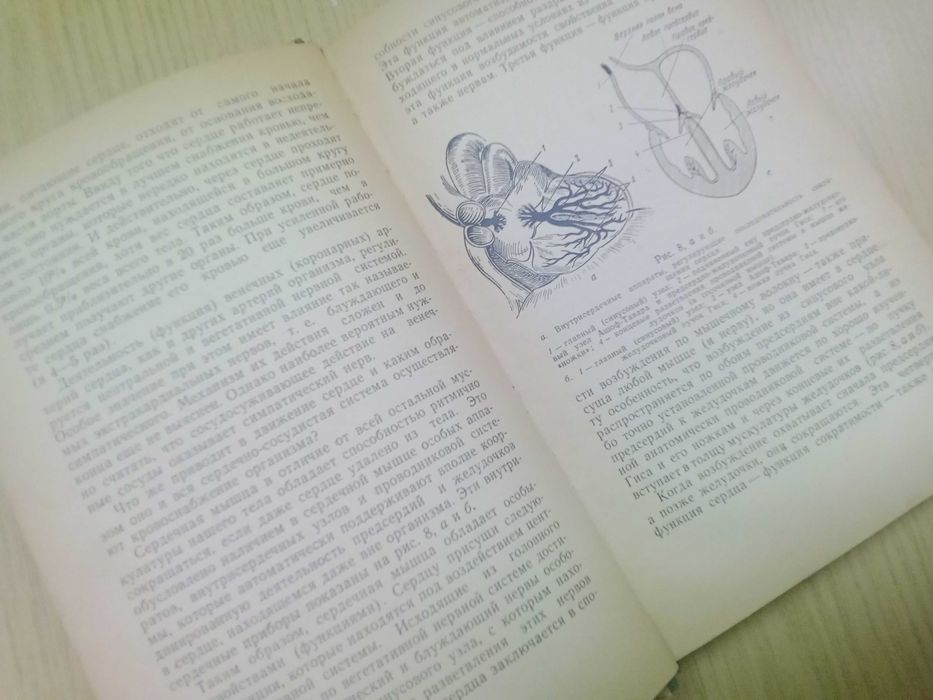 Хвороби серцево-судинної системи в середньому та літн. віці. В.Зеленин