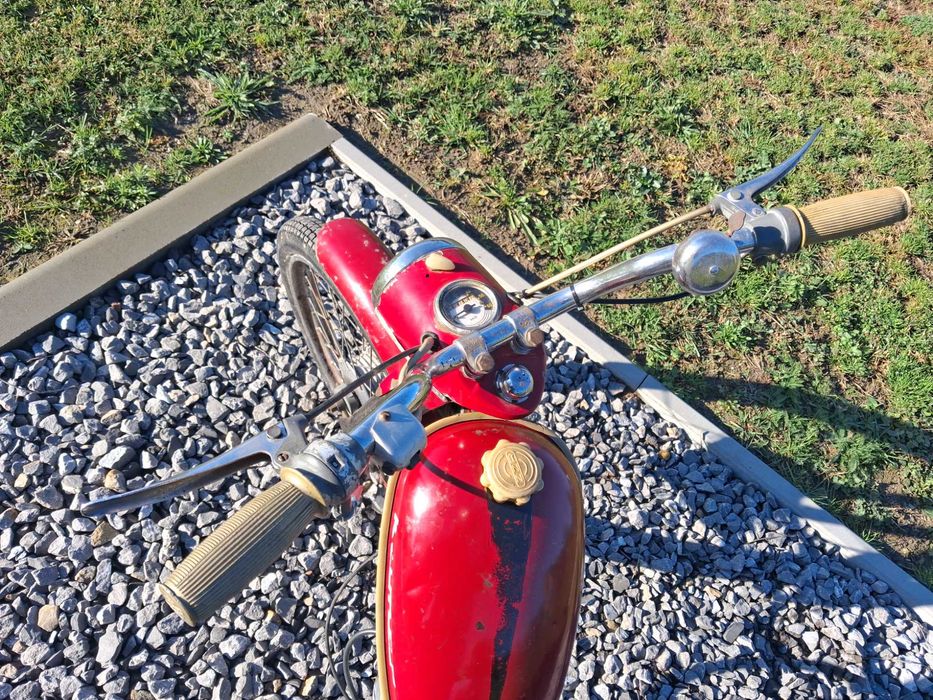 Komar sztywniak 1968