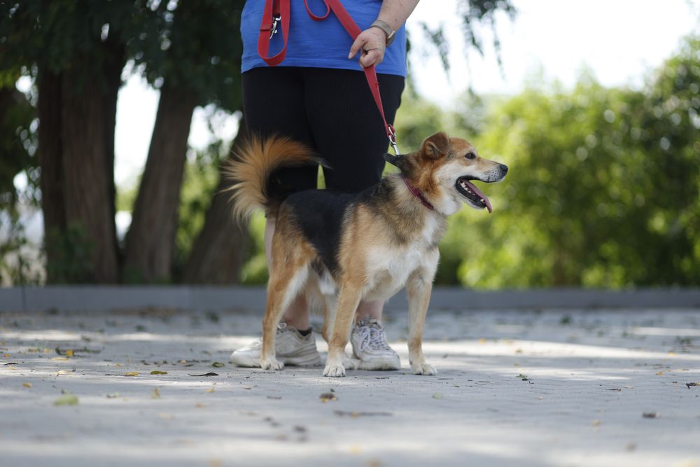 Tylko mnie kochaj - krzyczy Wiper!