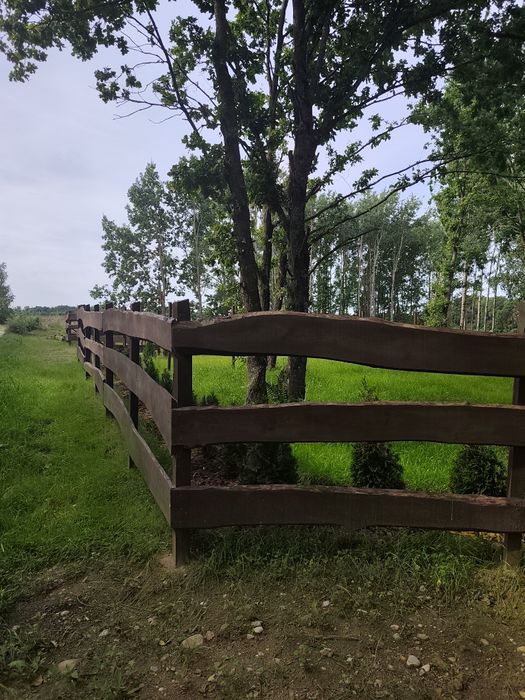 Działka, zagajnik na Mazurach