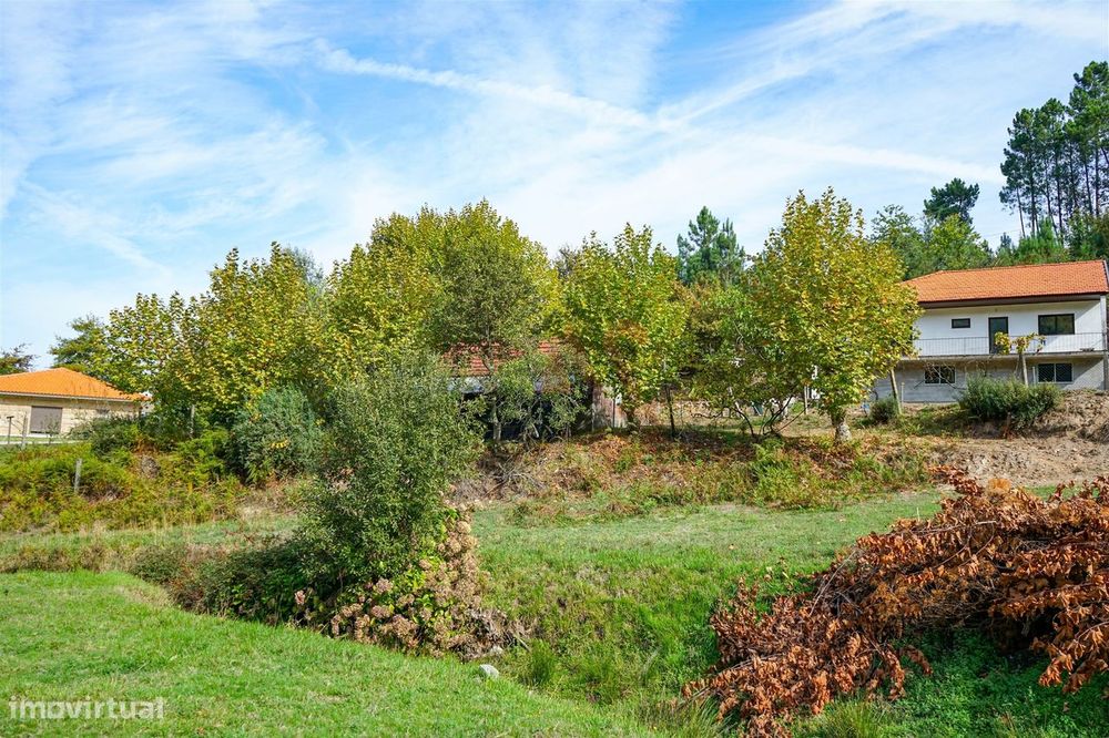 Quintinha com 12.770 m² em Barrosas - Santo Estêvão, Lousada