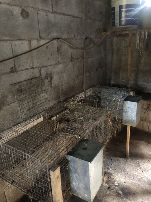 Vendo todas as coelheiras com tudo completo.