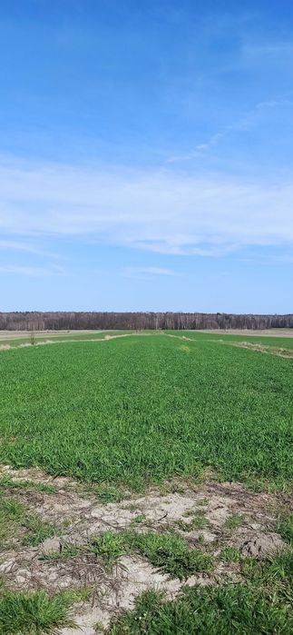 Działka rolno budowlana 1 ha, Bukowiec