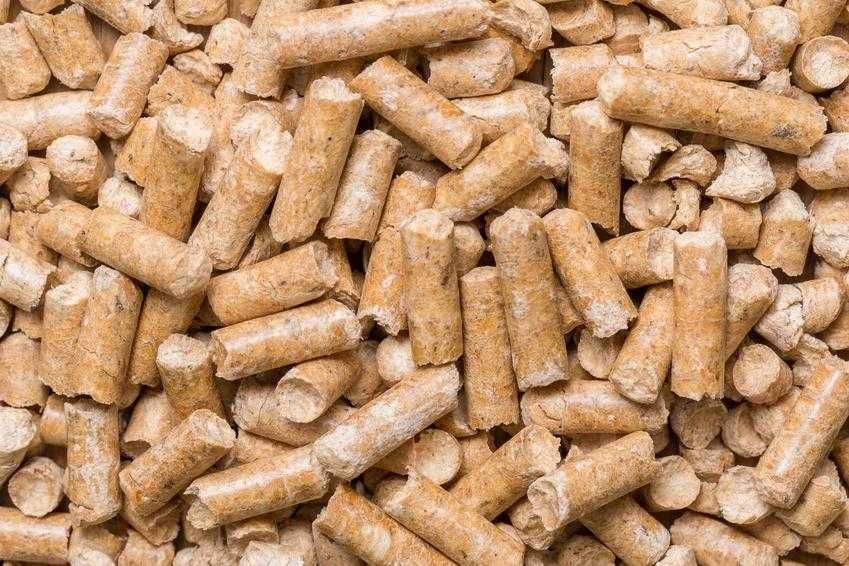 Norka Cat's Żwirek Drewniany 15kg kot królik