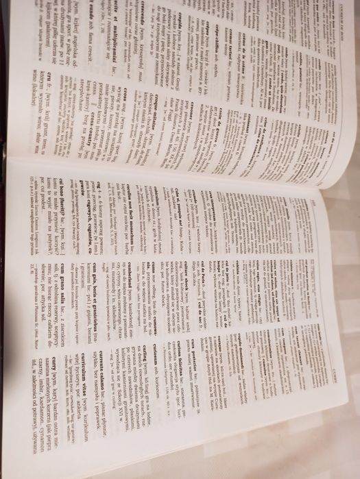 Słownik wyrazów obcych i zwrotów obcojezycznych z almanachem