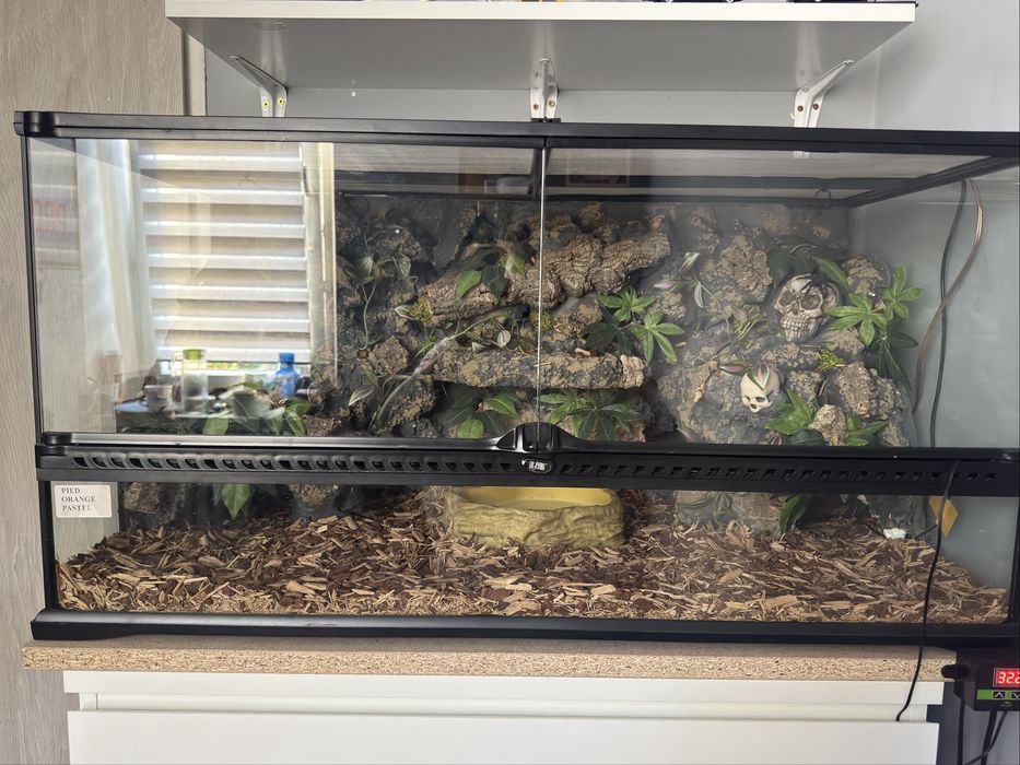 Terrarium exoterra oswietlenie scianka dekoracje