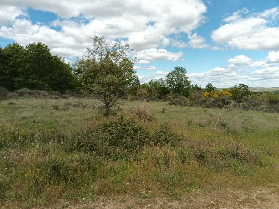 Terreno à venda em Paçó de Mós
