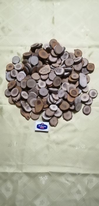 Спилы для творчества