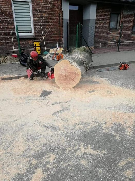 Wycinka drzew, pielęgnacja drzew, pielęgnacja ogrodów. Wlkp.