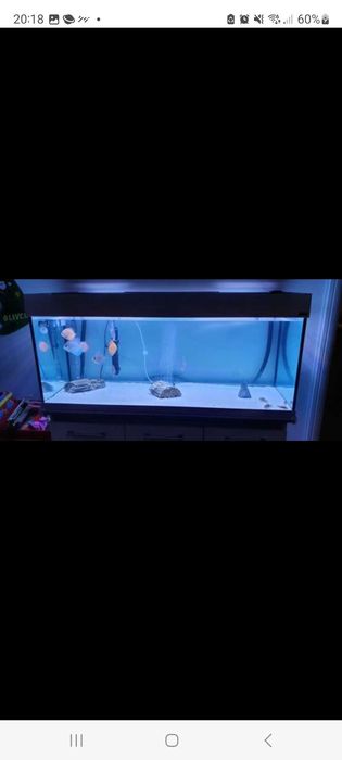 Aquario 250lts + movel + filtros + extras