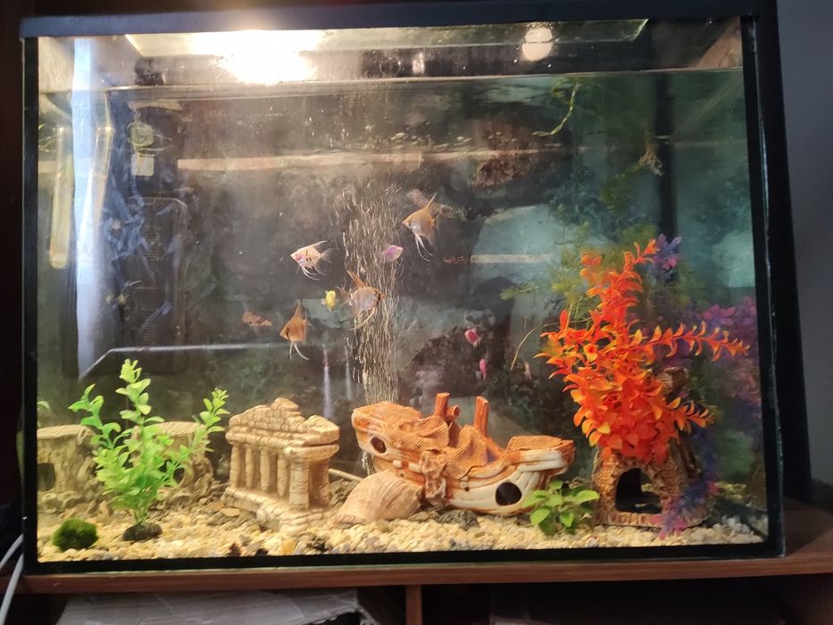 Акваріум 1000 літрів, у комплекті з двома фільтрами, обігрівачем.