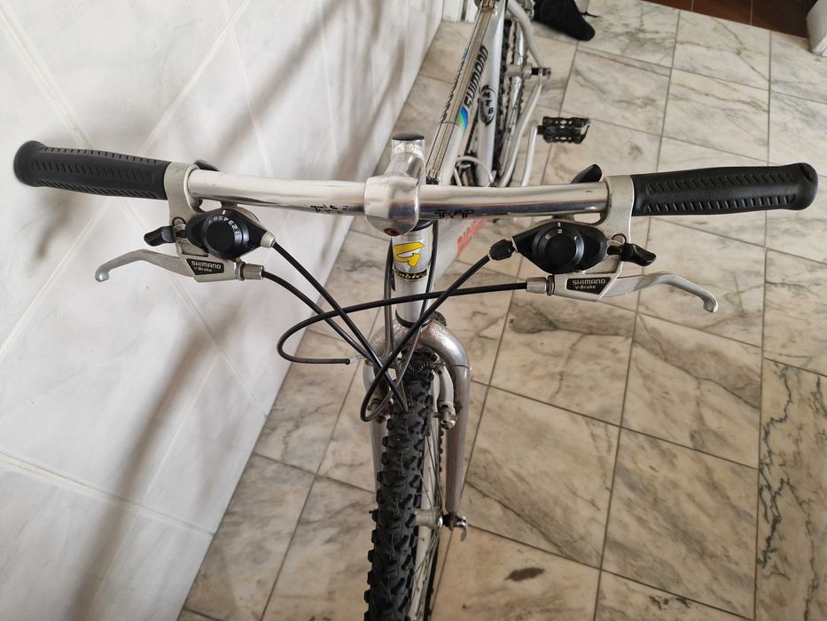 Bicicleta adulto