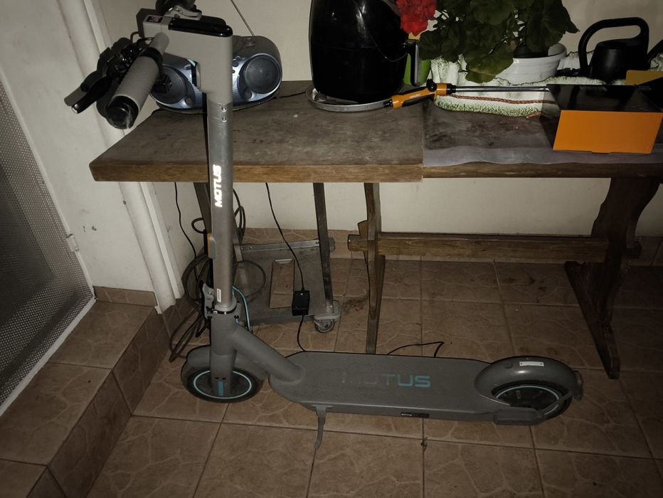 MOTUS Scooty 10 używany