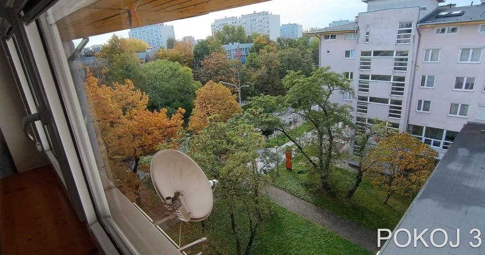Zdjęcie 3