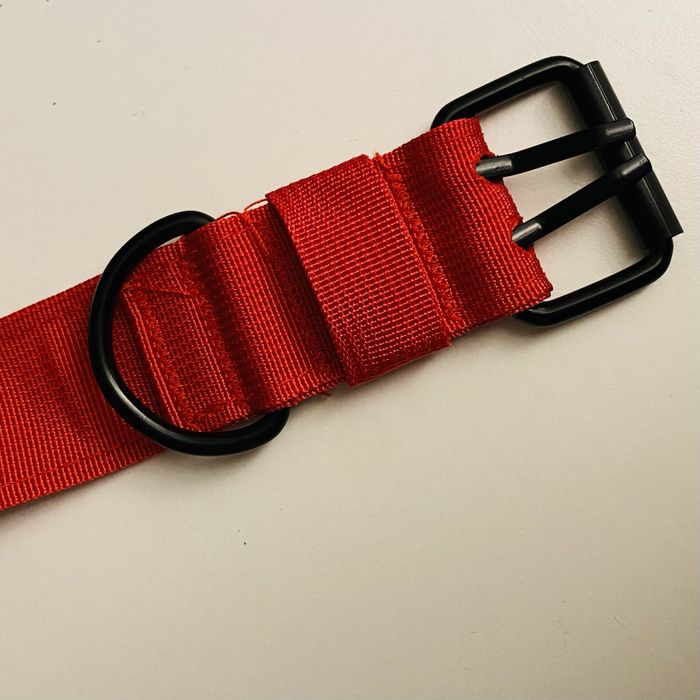 Coleira Vermelha Cão Médio/Grande | Ajustável | Nova