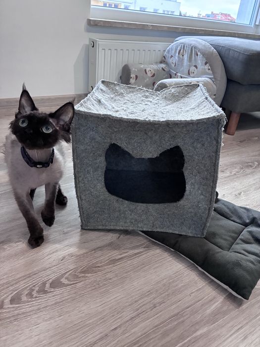 Filcowa budka domek dla kotów z poduszką IKEA