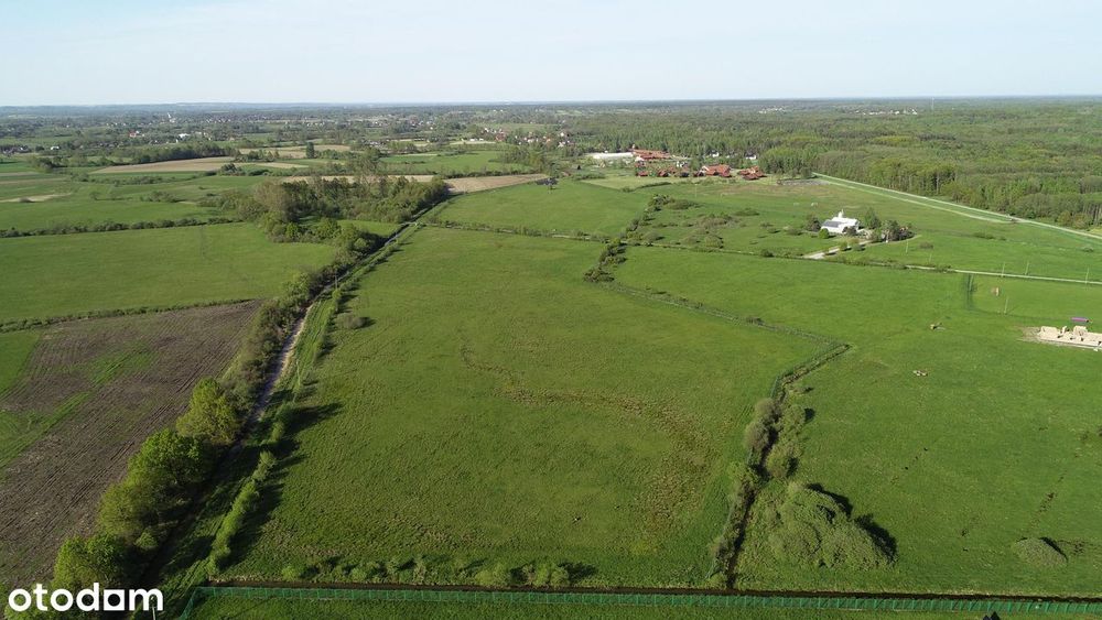 DZIAŁKA INWESTYCYJNA 6,03 ha – Borek (gm. Rzezawa) | MPZP | A4 10,5 km