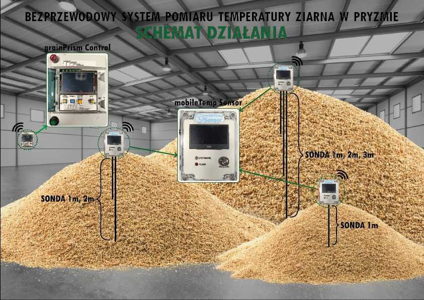 Pomiar temperatury ziarna w pyzmie! Pomiar temperatury ziarna w hali!