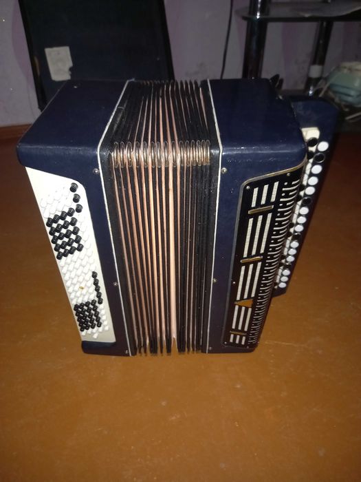 Баян сармат з футлялом новий