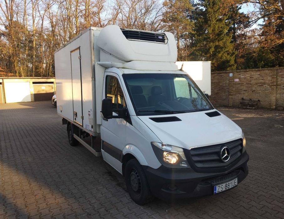 Sprinter 316/Chłodnia/Mroźnia/2016/8 Palet 4,2/2,1/2,1/230V/Dobry Stan