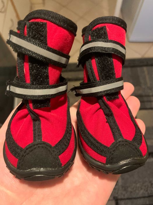 Buty dla psa. Rozmiar S.